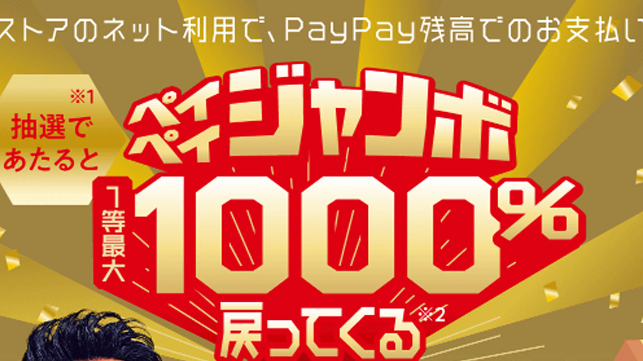 【朗報】PayPayで最大1000%戻ってくるキャンペーンにナチュラムがいる件