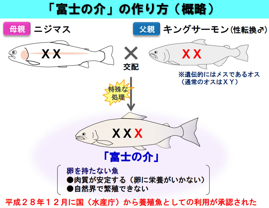 富士の介の作り方が記されている説明pdf資料