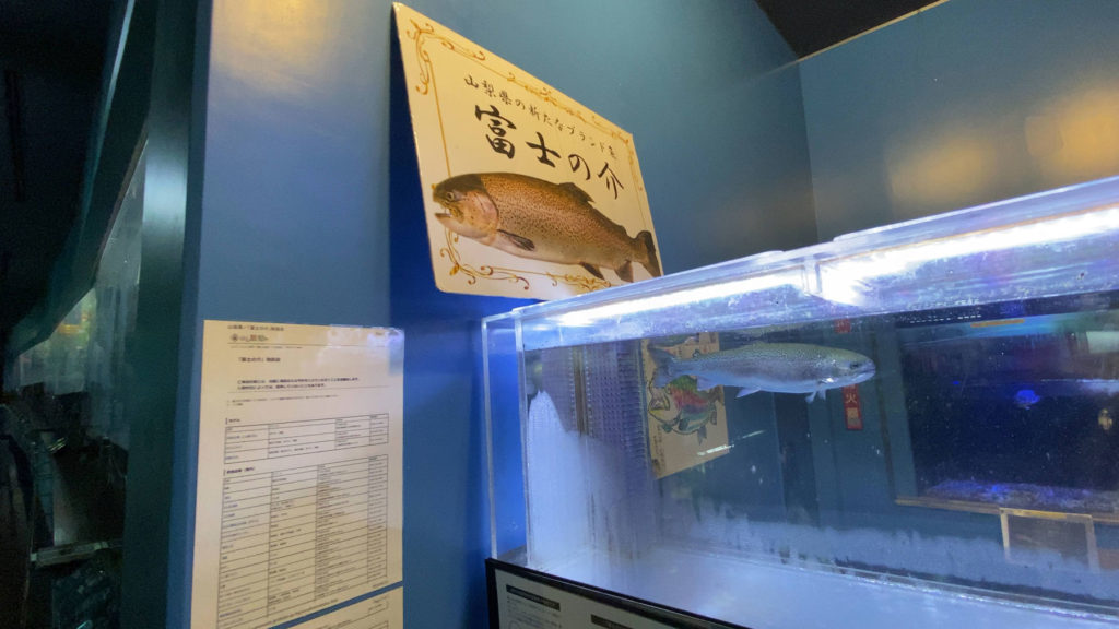富士の介。山梨県の独自ブランド魚が特別展示されています。