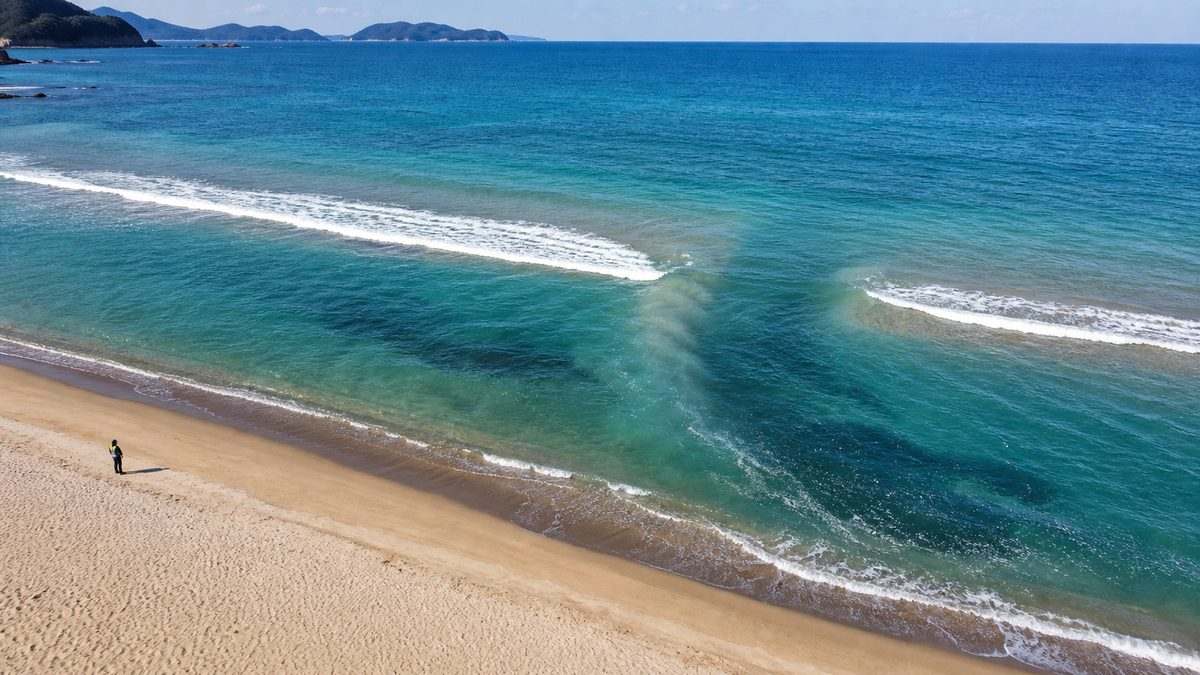白波の切れ目と沖へ抜ける流れから砂州と離岸流を読む海岸景観