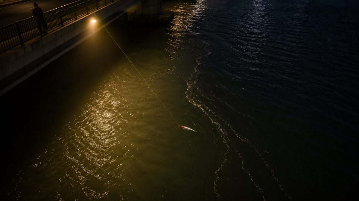 橋灯の明暗境界を流れるレッドヘッドミノー