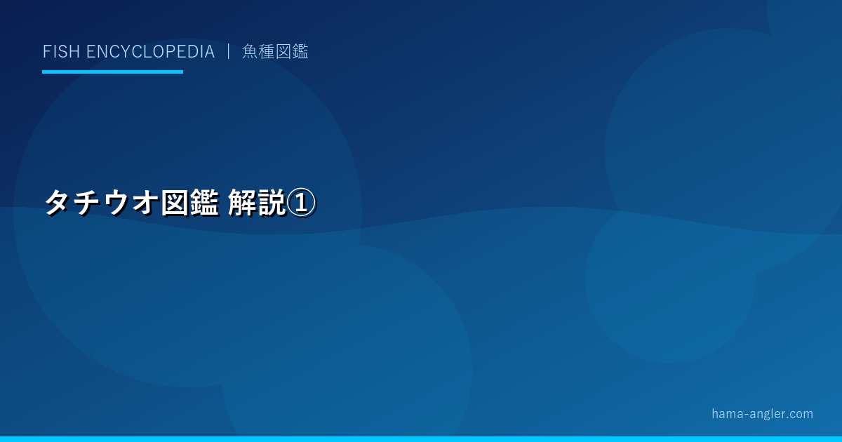 タチウオ図鑑の解説画像