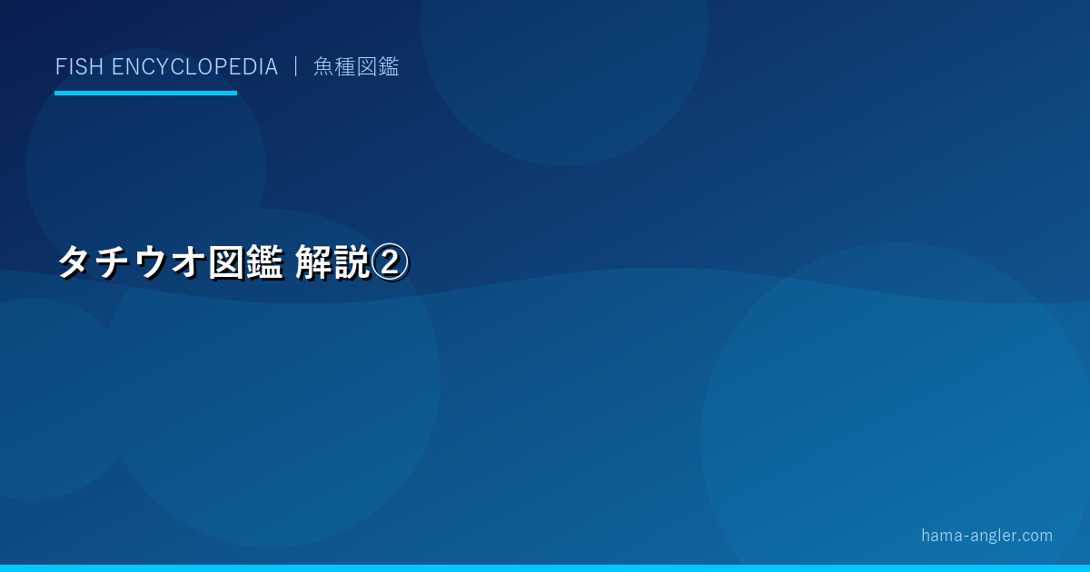 タチウオ図鑑の解説画像