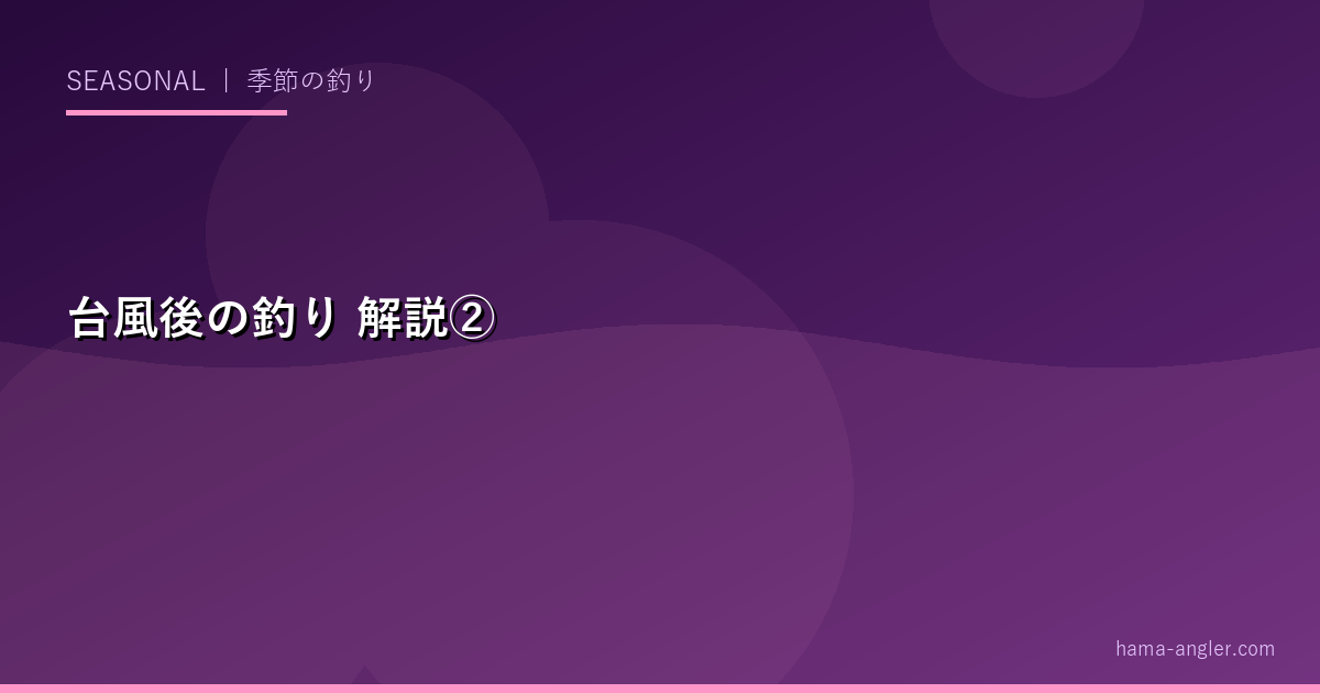 台風後の釣りの解説画像
