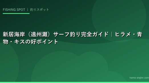 新居海岸（遠州灘）サーフ釣り完全ガイド｜ヒラメ・青物・キスの好ポイント