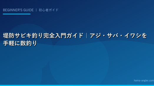 堤防サビキ釣り完全入門ガイド｜アジ・サバ・イワシを手軽に数釣り