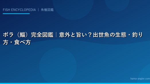 ボラ（鯔）完全図鑑｜意外と旨い？出世魚の生態・釣り方・食べ方