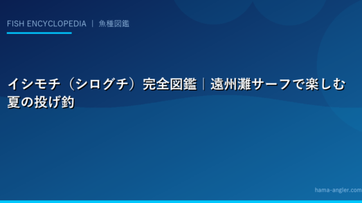 イシモチ（シログチ）完全図鑑｜遠州灘サーフで楽しむ夏の投げ釣りターゲット