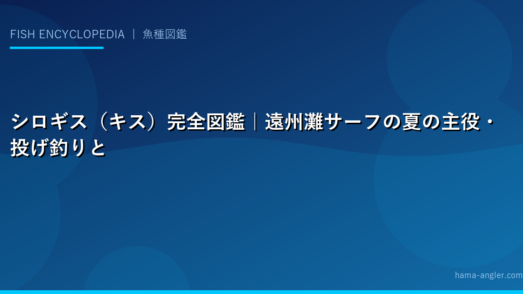 シロギス（キス）完全図鑑｜遠州灘サーフの夏の主役・投げ釣りと食べ方