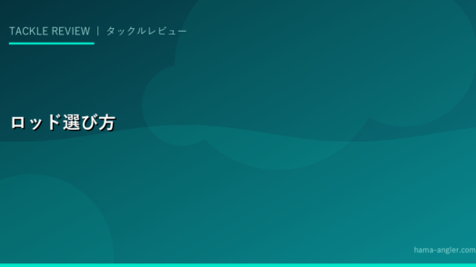 釣り竿（ロッド）の種類と選び方完全ガイド｜釣りスタイル別・初心者向けおすすめロッド2027