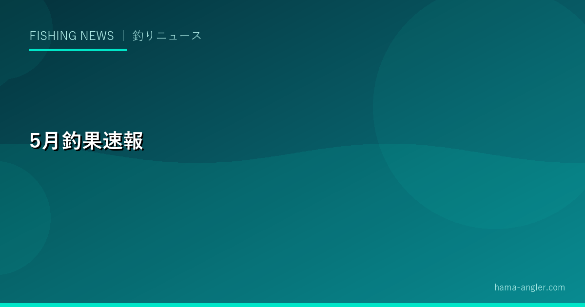 2027年5月の浜名湖・遠州灘釣果速報｜初夏の爆釣！キス・マゴチ・アジ・シーバス開幕