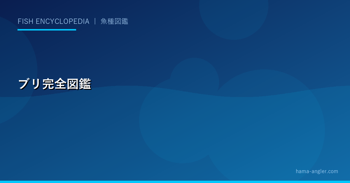 ブリ（ワラサ・イナダ）完全図鑑｜遠州灘での釣り方・出世魚の秘密・美味しい食べ方