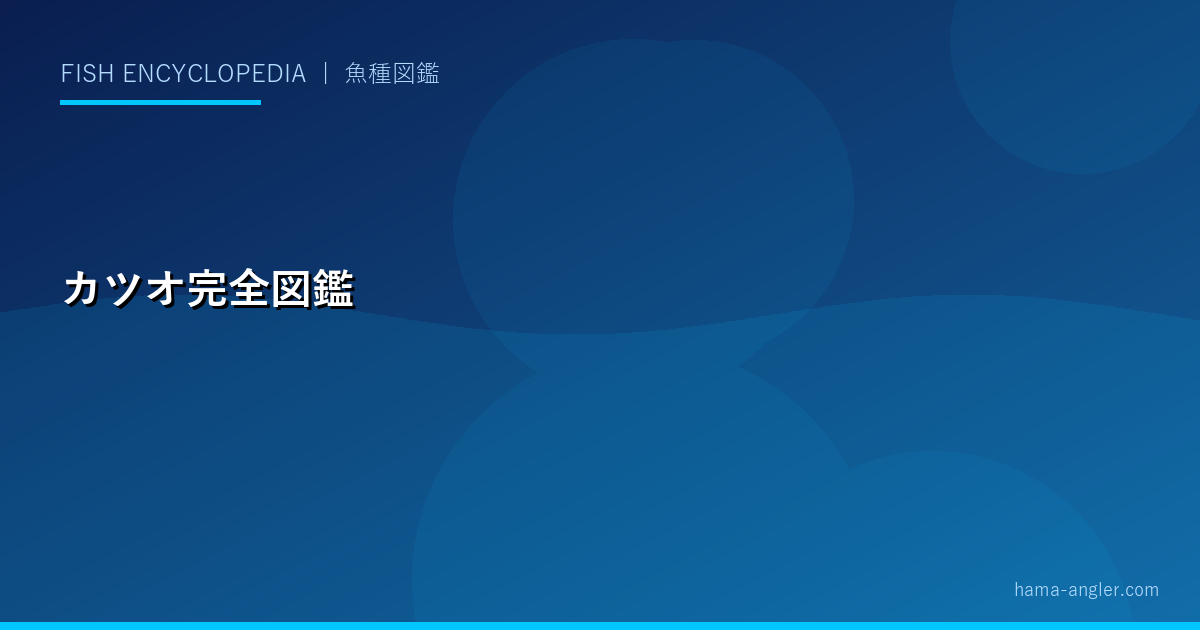 カツオ（本ガツオ・スマガツオ）完全図鑑｜遠州灘のカツオ釣り・タタキ・角煮の作り方