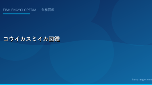 コウイカ（スミイカ）完全図鑑｜生態・スッテ釣り・エギング・料理レシピまで徹底解説