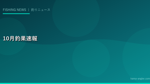 2028年10月の浜名湖・遠州灘釣果速報｜秋アオリイカ最盛期・シーバス大型回遊・青物ラッシュ