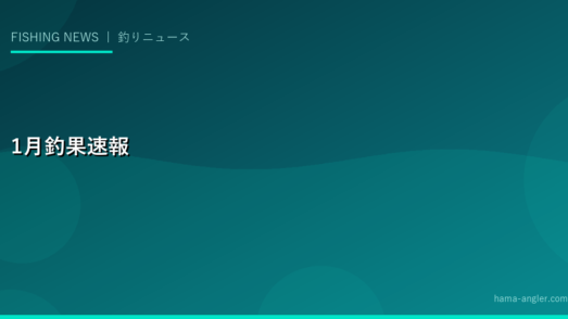 2029年1月の浜名湖・遠州灘釣果速報｜厳冬期メバル・カレイ・ヒラメ越冬釣り攻略