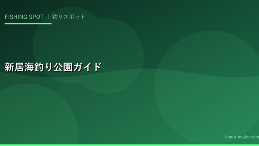 新居海釣り公園・新居弁天海浜公園完全ガイド｜アクセス・シーバス・タコ・サビキ釣り情報