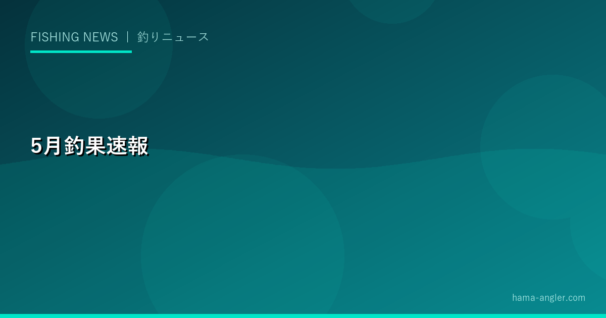 2029年5月の浜名湖・遠州灘釣果速報｜アオリイカ最盛期・チヌ乗っ込み後期・キス開幕