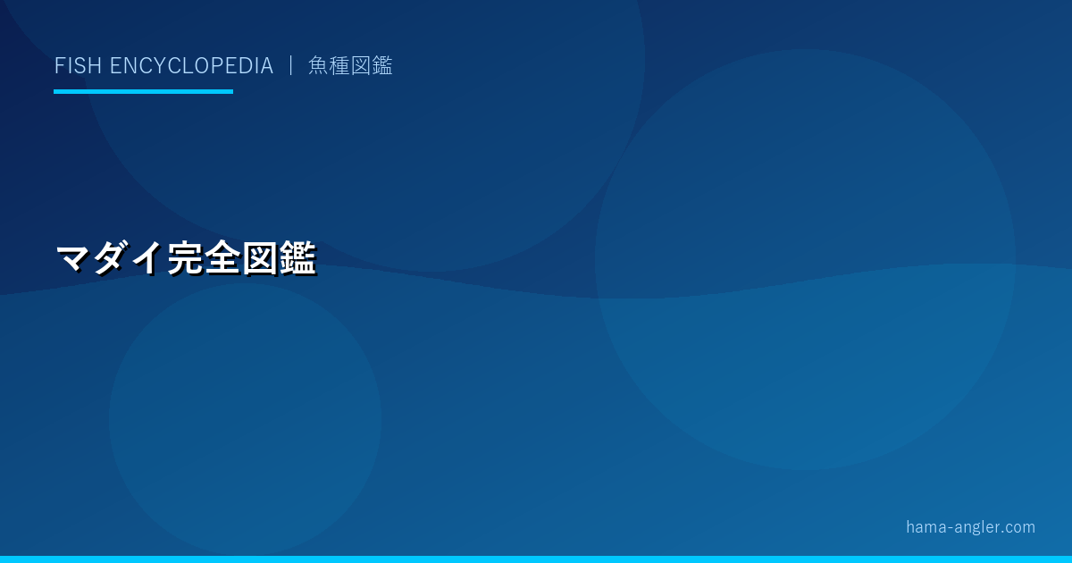 マダイ（真鯛）完全図鑑｜生態・タイラバ・コマセ釣り・旬・料理まで徹底解説