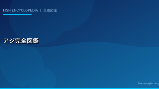 アジ（マアジ）完全図鑑｜生態・サビキ・アジング・アジ料理まで徹底解説