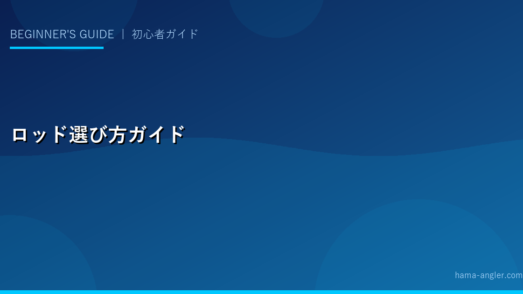 釣り竿（ロッド）の選び方完全ガイド｜素材・長さ・硬さ・釣り種別おすすめを初心者向けに解説