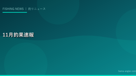 2029年11月の浜名湖・遠州灘釣果速報｜カレイ本格化・タチウオ終盤・メバリング開幕