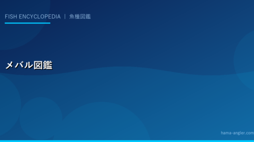メバル完全図鑑｜浜名湖・遠州灘でのメバリング攻略・生態・季節・料理を完全解説