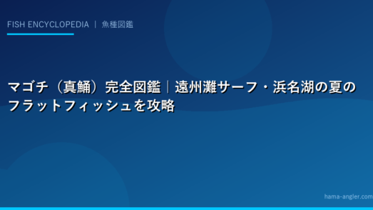 マゴチ（真鯒）完全図鑑｜遠州灘サーフ・浜名湖の夏のフラットフィッシュを攻略