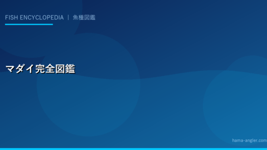 マダイ（真鯛）完全図鑑｜御前崎・遠州灘のタイラバ・コマセ釣りで「海の王者」を仕留める全技術