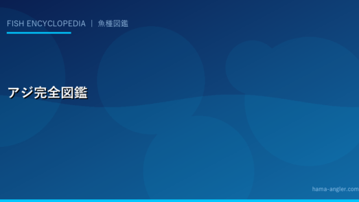 アジ（マアジ）完全図鑑｜遠州灘・浜名湖のアジをサビキ・アジングで狙う全技術