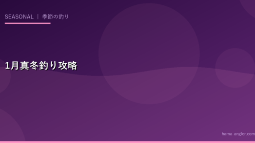 浜名湖・遠州灘の1月（真冬）釣り完全攻略｜寒チヌ・冬ヒラメ・メバリングで厳冬期の釣りを楽しむ
