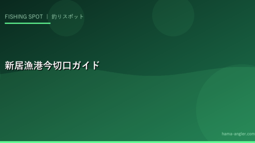 新居漁港・今切口完全ガイド｜浜名湖の出入口で釣れるシーバス・チヌ・アオリイカを攻略する全知識