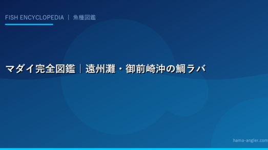 マダイ完全図鑑｜遠州灘・御前崎沖の鯛ラバ・タイジギングで「魚の王様」を釣り上げる全技術と絶品料理まで