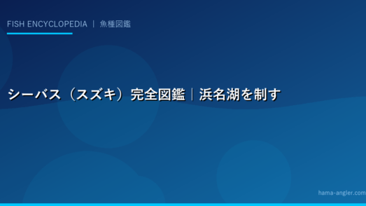 シーバス（スズキ）完全図鑑｜浜名湖を制する王魚の生態・釣り方・タックル徹底解説