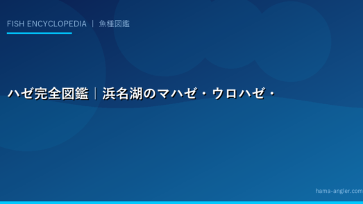 ハゼ完全図鑑｜浜名湖のマハゼ・ウロハゼ・チチブの見分け方から生態・釣り方・料理まで