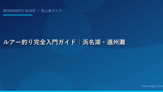 ルアー釣り完全入門ガイド｜浜名湖・遠州灘で始める初心者のための基礎知識