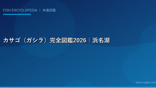 カサゴ（ガシラ）完全図鑑2026｜浜名湖・遠州灘の根魚の王様の生態・穴釣り・料理まで完全解説