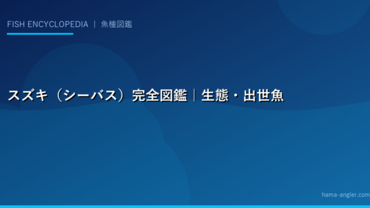 スズキ（シーバス）完全図鑑｜生態・出世魚の名前・釣り方・全国ポイント・料理法を徹底解説