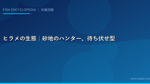 ヒラメの生態｜砂地のハンター、待ち伏せ型捕食の秘密