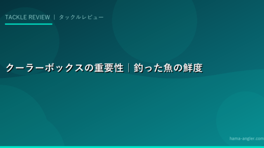クーラーボックスの重要性｜釣った魚の鮮度が味を決める