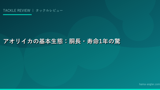 アオリイカの基本生態：胴長・寿命1年の驚くべき生命