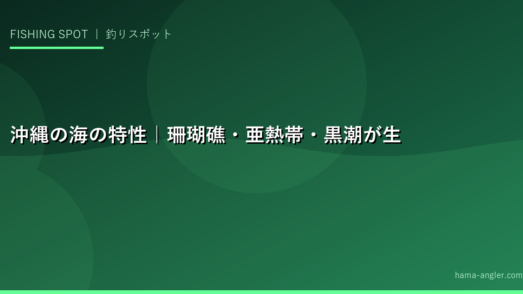 沖縄の海の特性｜珊瑚礁・亜熱帯・黒潮が生み出す豊かな釣りフィールド