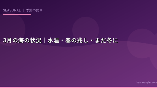 3月の海の状況｜水温・春の兆し・まだ冬に近い水温