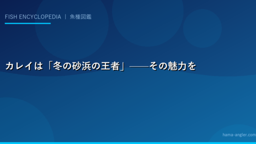 カレイは「冬の砂浜の王者」——その魅力を全て語ろう