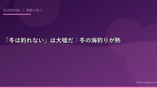 「冬は釣れない」は大嘘だ｜冬の海釣りが熱い本当の理由