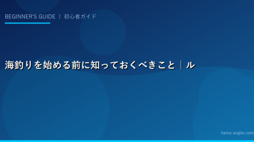 海釣りを始める前に知っておくべきこと｜ルールを知らないと損をする理由