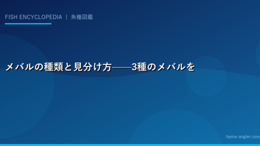メバルの種類と見分け方——3種のメバルを徹底比較