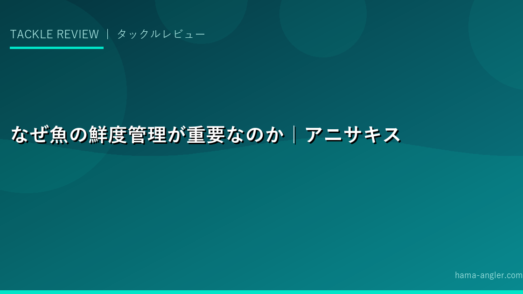 なぜ魚の鮮度管理が重要なのか｜アニサキス・細菌・劣化のメカニズム