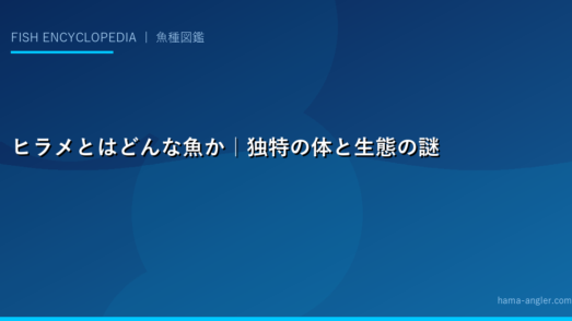 ヒラメとはどんな魚か｜独特の体と生態の謎