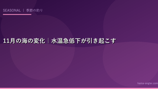11月の海の変化｜水温急低下が引き起こす魚の大移動